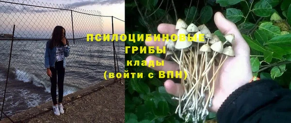 каннабис Богданович