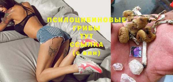 mix Богородицк