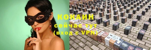 mix Богородицк