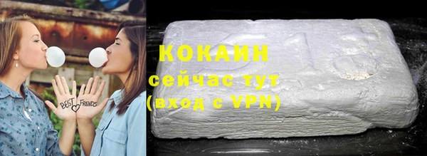 mix Богородицк