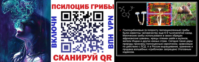 Галлюциногенные грибы прущие грибы  Вязьма 