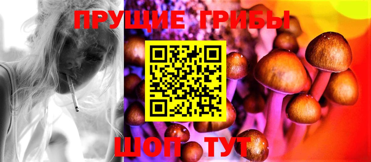 Вязьма  Псилоцибиновые грибы мицелий  Вход с VPN  Галлюциногенные грибы мухоморы 